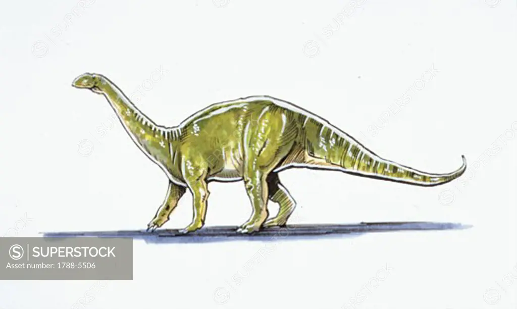 Illustration of Melanosaurus