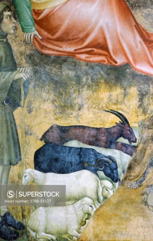 Sheep grazing, detail from the Annuciation by the Angel, fresco by Giovanni da Milano (active from 1346 to 1369). Rinuccini Chapel, Santa Croce, Florence. Italy, 14th century.