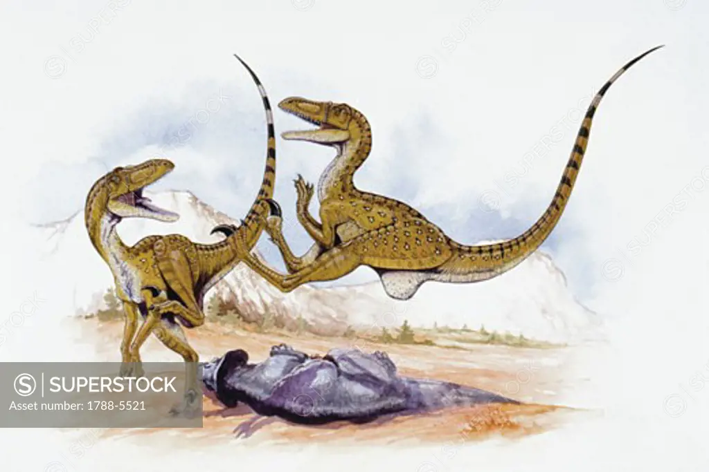 Illustration of two Velociraptors by dead dinosaur