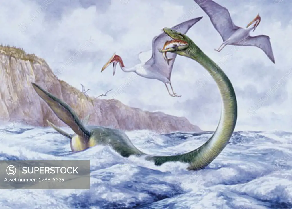 Illustration of Elasmosaurus