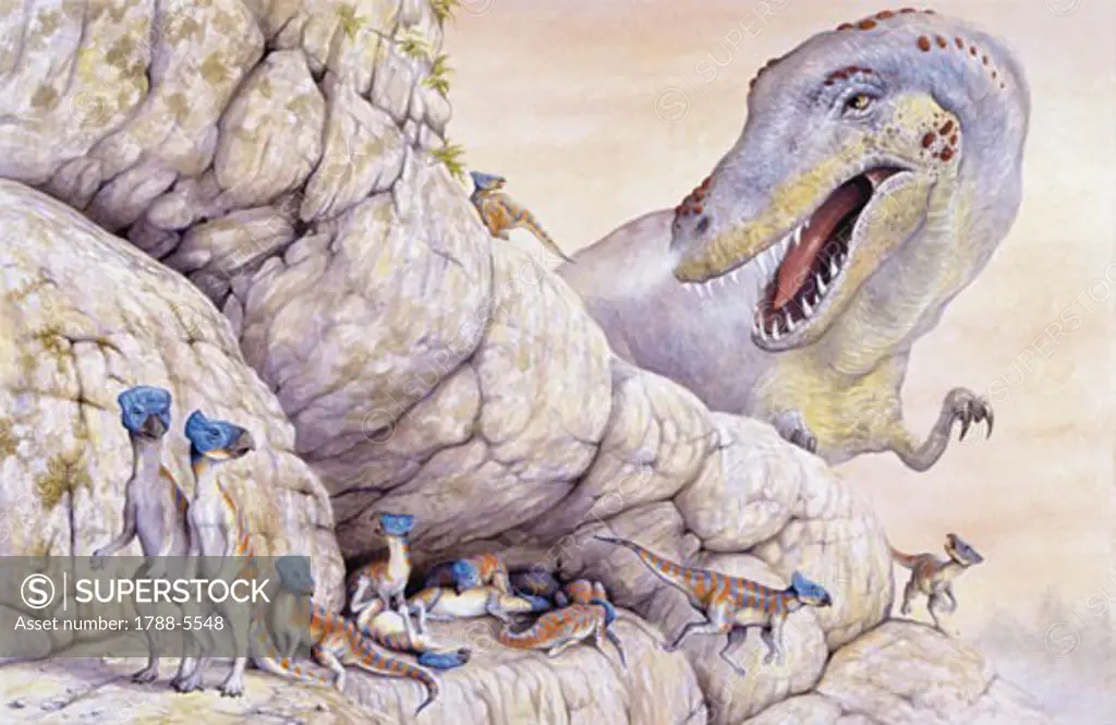 Illustration of Microceratops on rock ledge