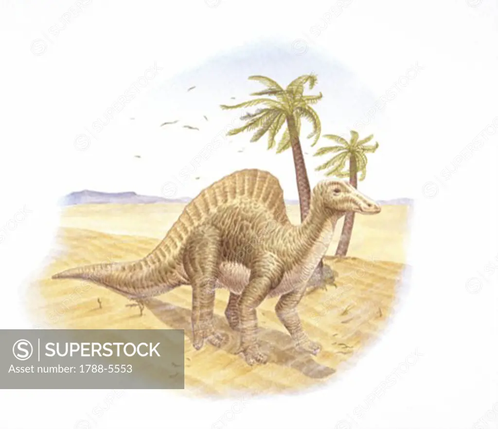 Illustration of Ouranosaurus