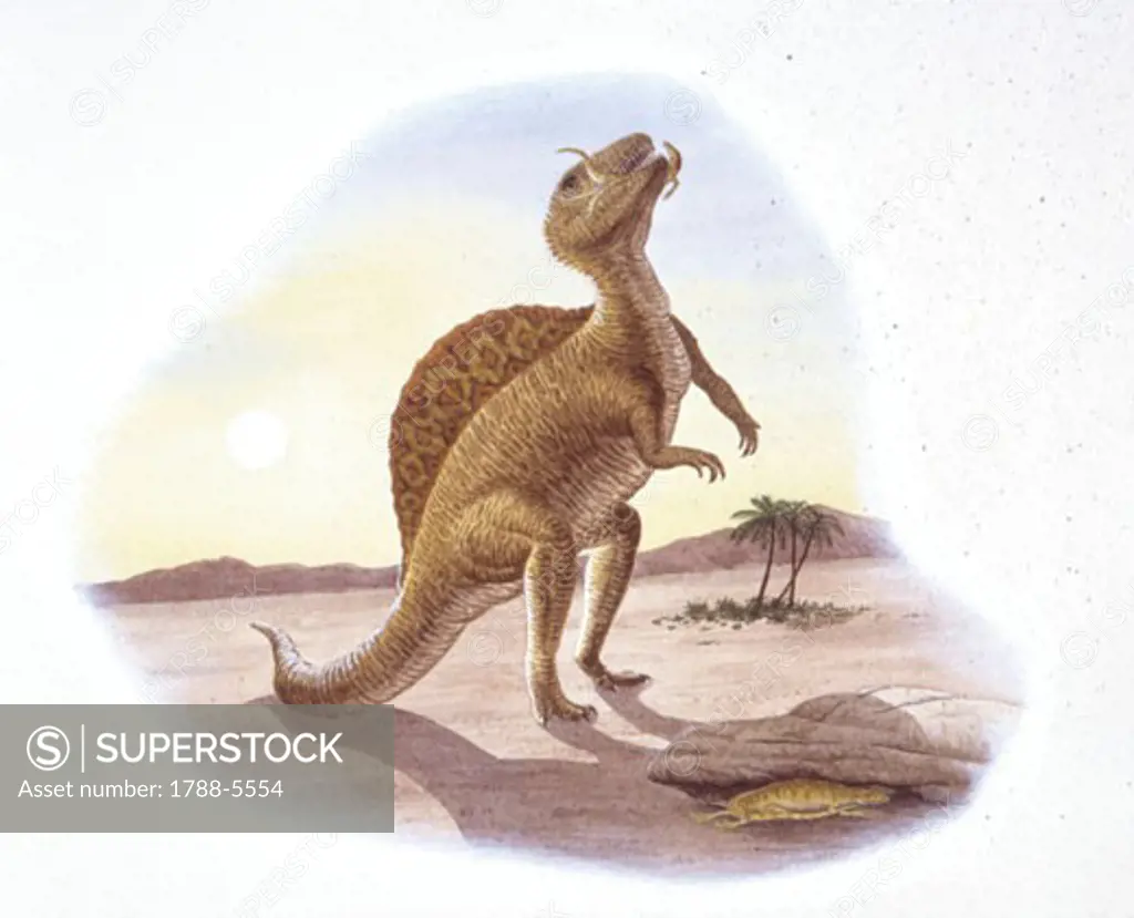 Illustration of Spinosaurus