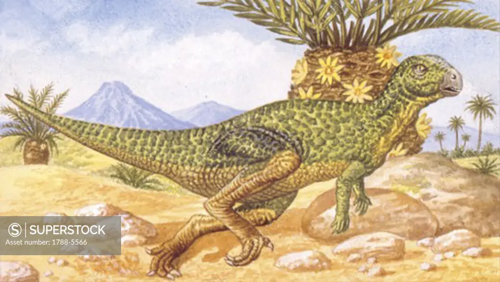 Illustration of Hypsilophodon