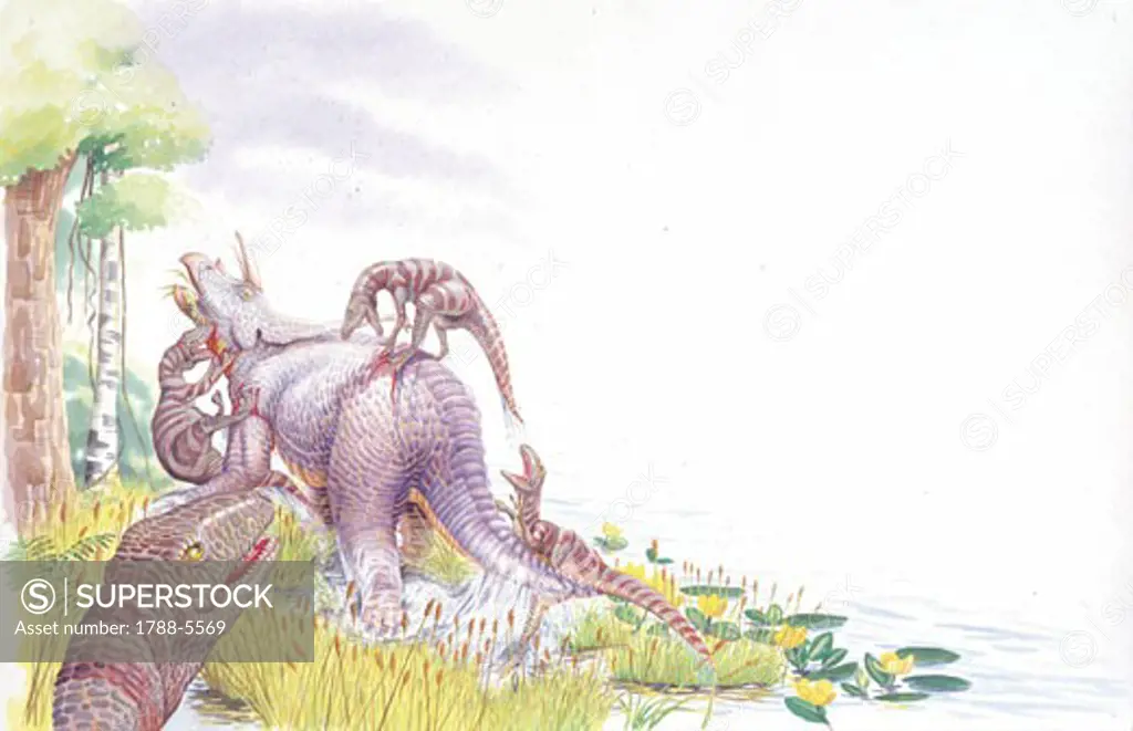 Illustration of Dromaeosaurus attacking