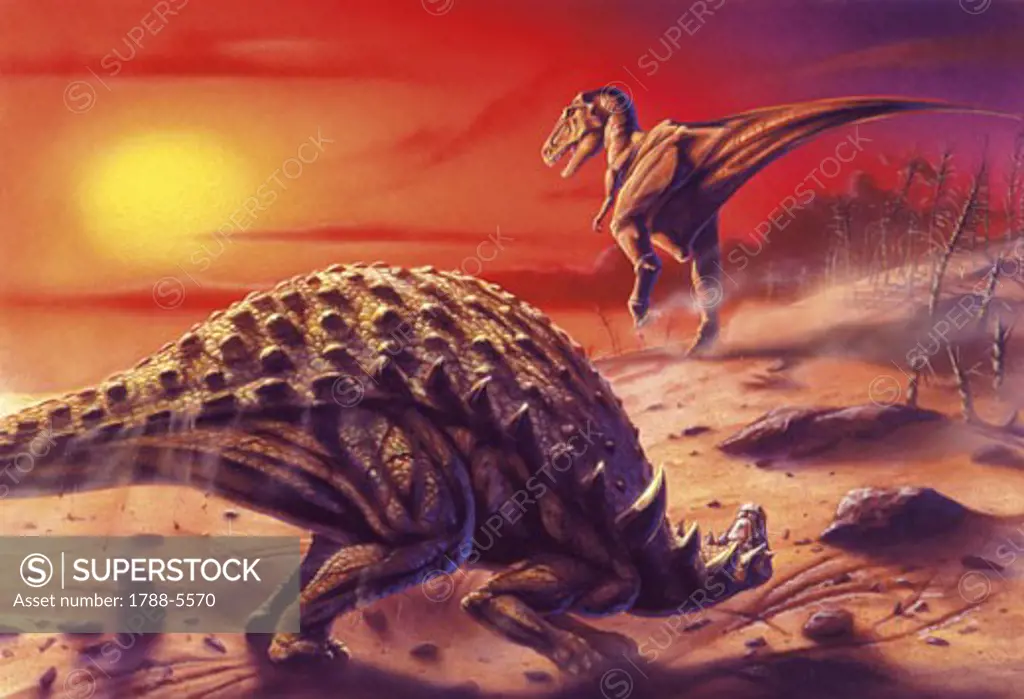 Illustration of Sauropelta and Albertosaurus
