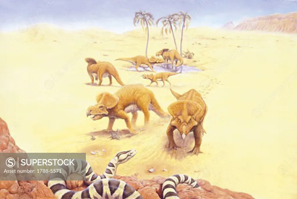Illustration of herd of Protoceratops
