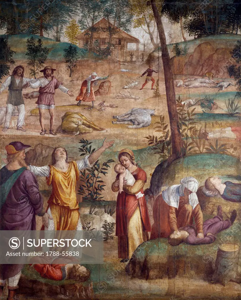 The death of the firstborn, by Bernardino Luini (ca 1480-ca 1532), fresco transferred on wood, 211x169 cm.