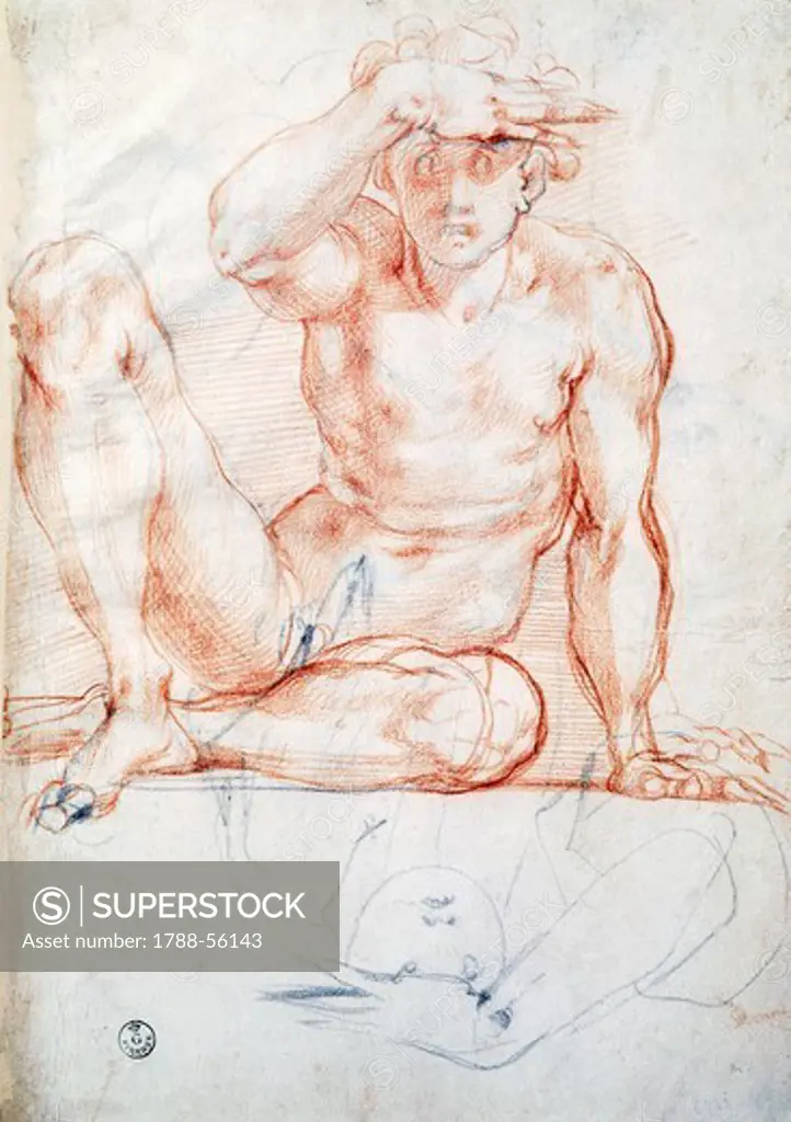 Seated male nude seen from the front, by Jacopo Carucci known as Pontormo (1494-1557), drawing.