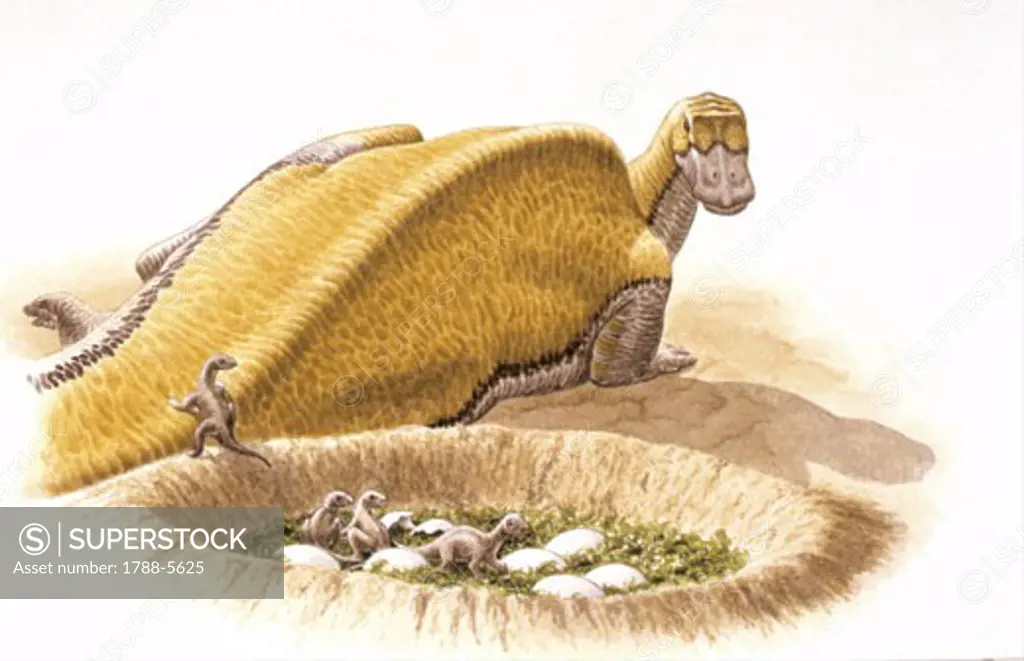 Illustration of Maiasaura newborns in nest