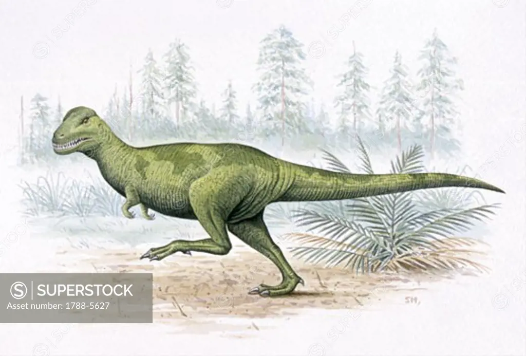 Illustration of Eustreptospondylus