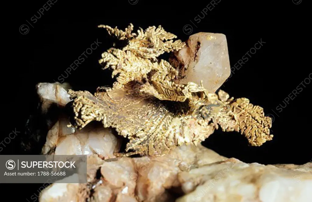 Gold, native element, on Quartz, oxide, from Dalmatia mine, Kelsey, California, United States.