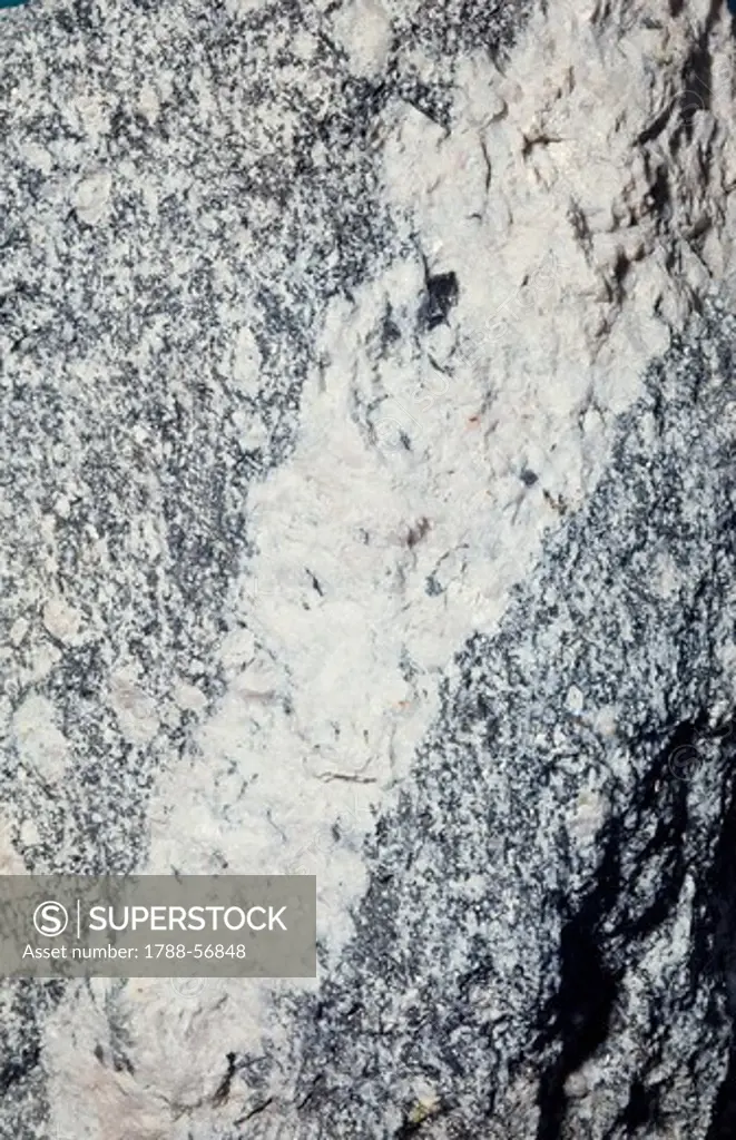 Porphyroid Granite, variety Ghiandone, with Pegmatite vein, from Val Masino, Sondrio, Italy.