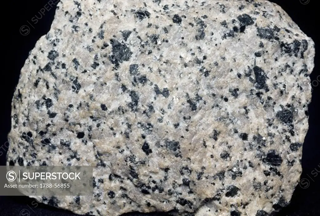 Tonalite, holocrystalline magmatic rock.