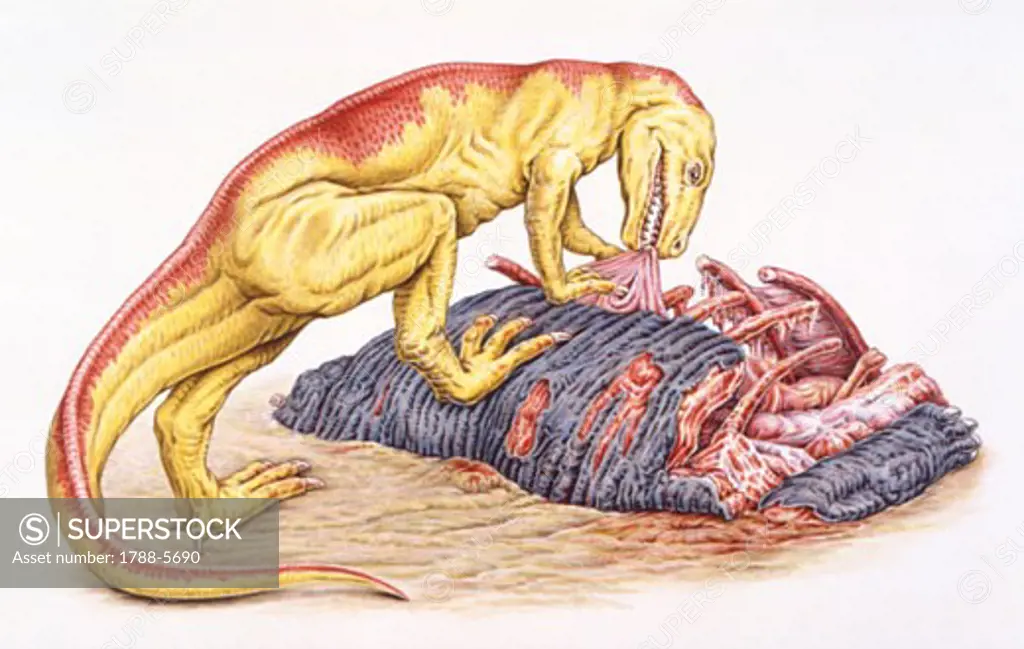 Illustration of Gasosaurus eating flesh of caracass