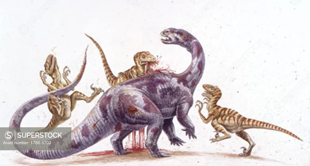 Illustration of herd of Deinonychuses attacking Tenontosaurus