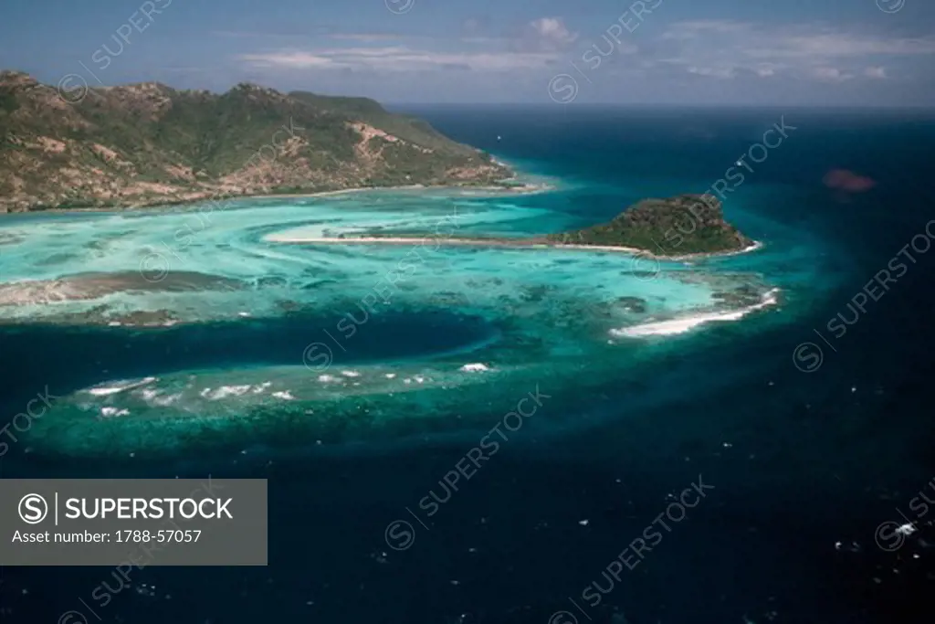 Coral reef, Grenadine archipelago.