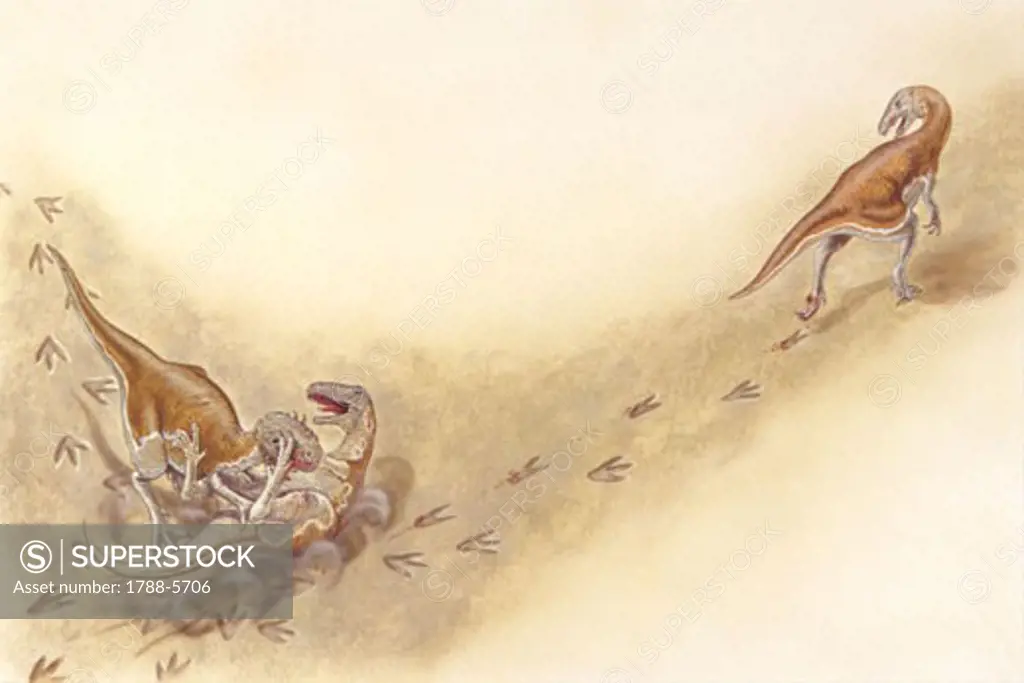 Illustration of Ornitholetes attacking