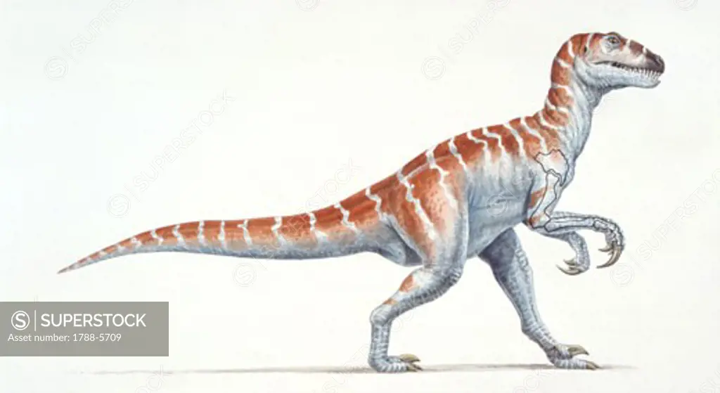 Illustration of Therizinosaurus