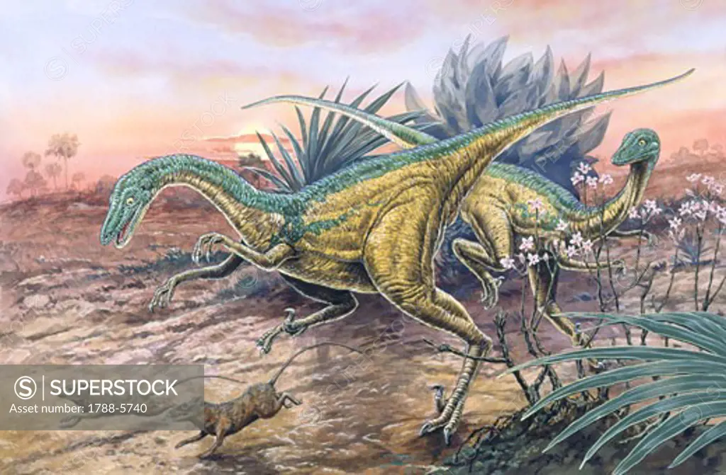 Illustration of Saurornithoides chasing rodents