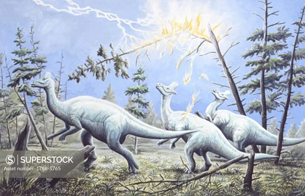 Illustration of three Lambeosauruses near tree beeing struck by lightning