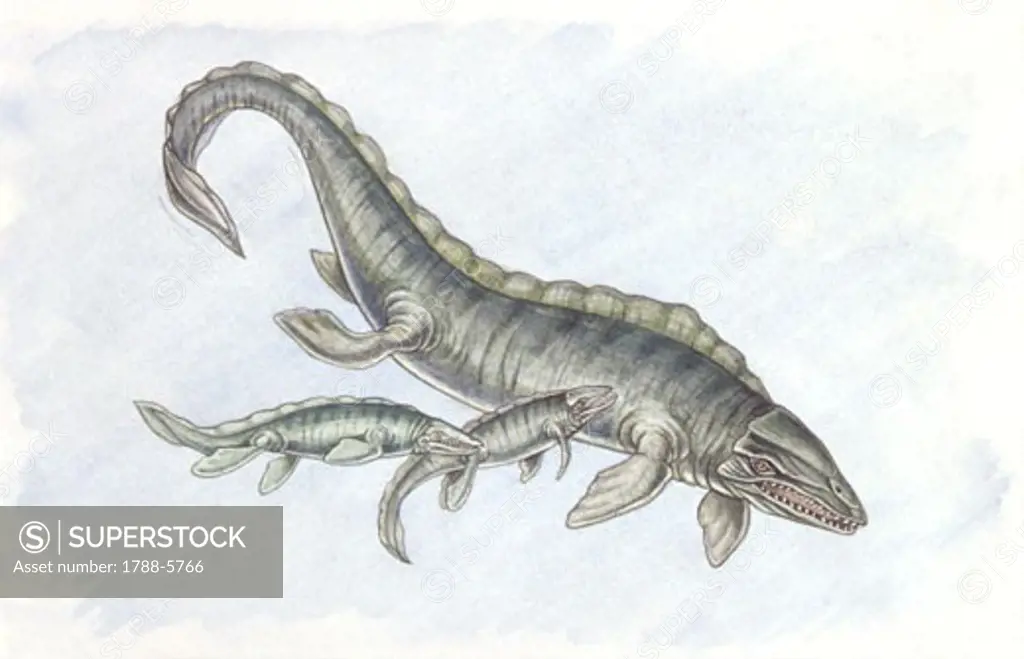 Illustration of Mosasaurus with two young animals