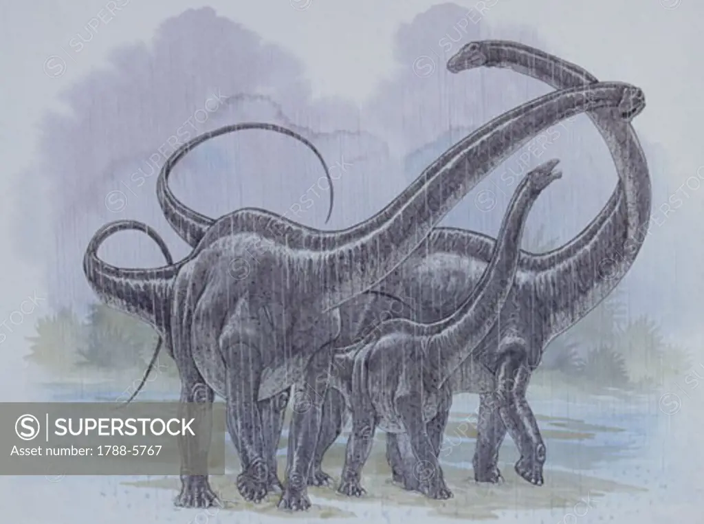 Illustration of Diplodocus family standing in rain