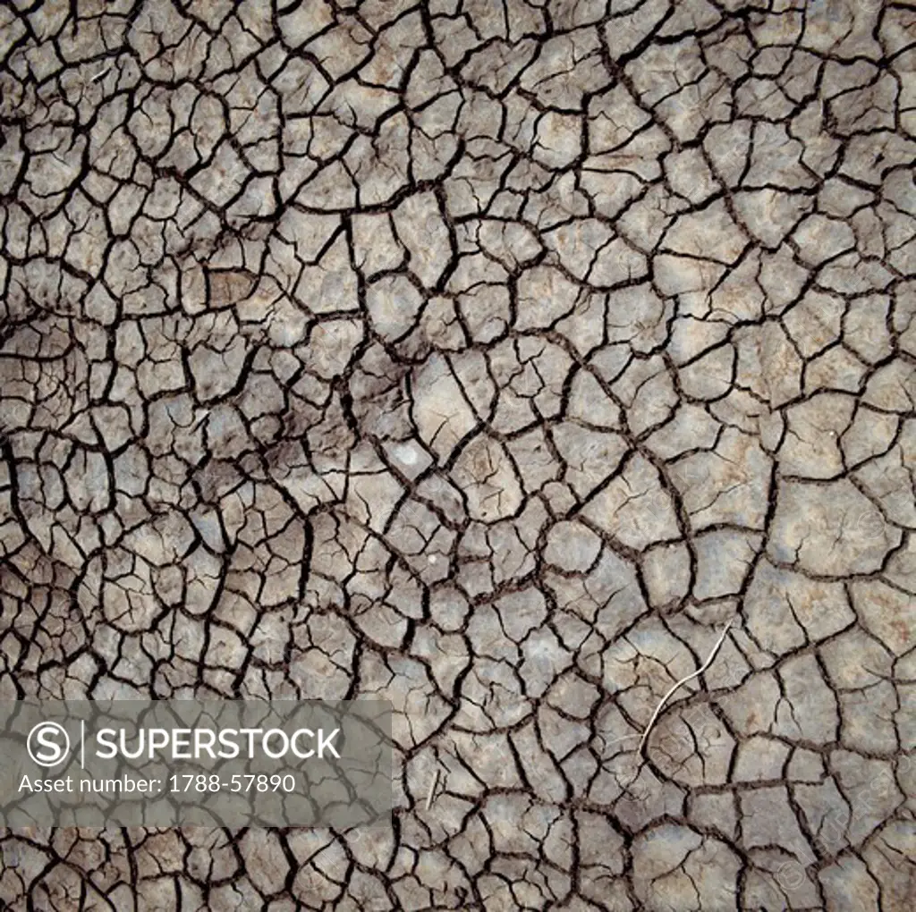 Effects of drought on the land, Chalbi Desert, Kenya.