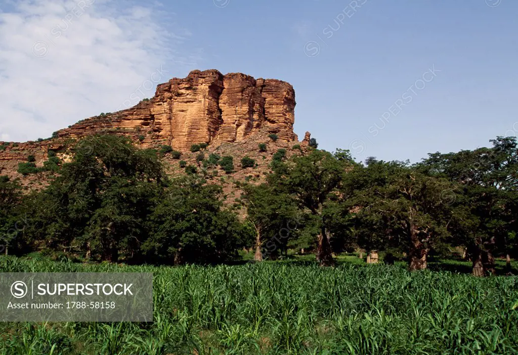 Cliffs, Dogon region, Mali.