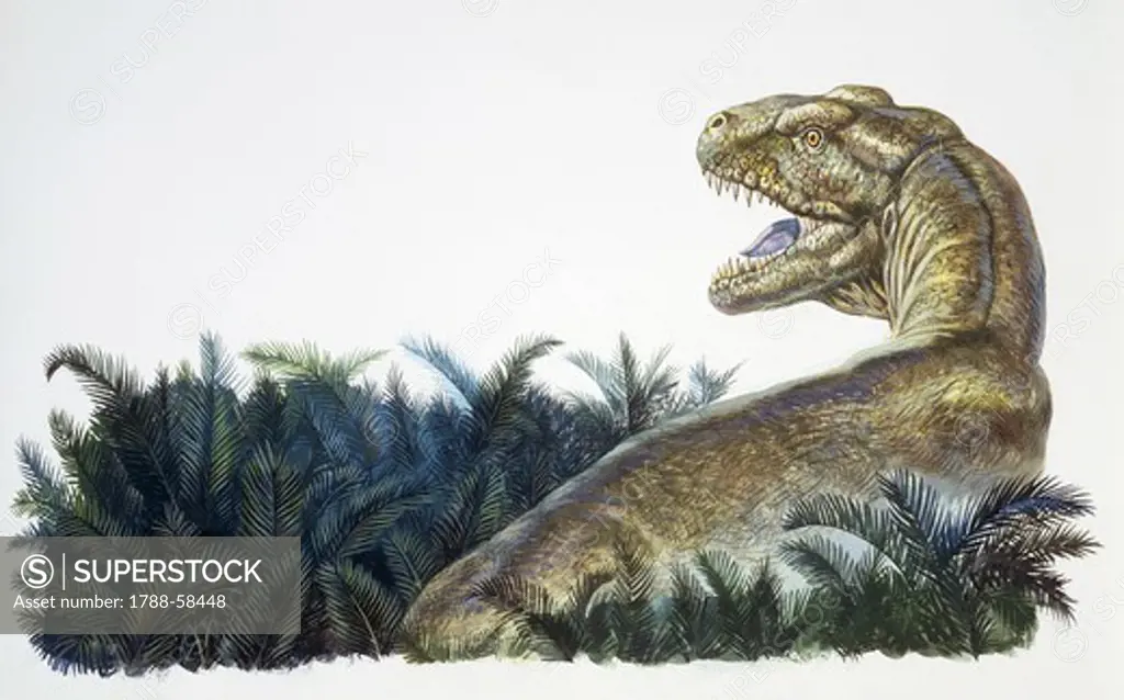 Reconstruction of Tyrannosaurus (Tyrannosaurus rex), theropod dinosaur, Cretaceous Period. Color illustration.