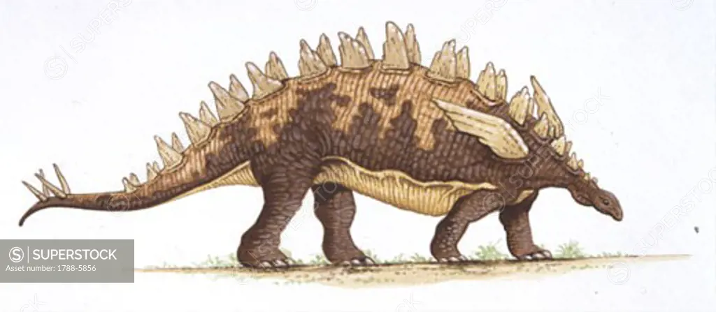 Illustration of Yingshanosaurus