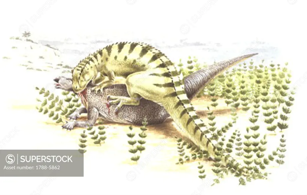 Illustration of Iguanodon attacking prey
