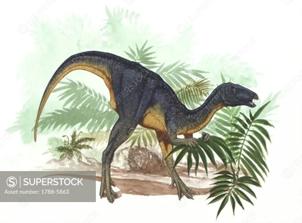 Illustration of Geranosaurus