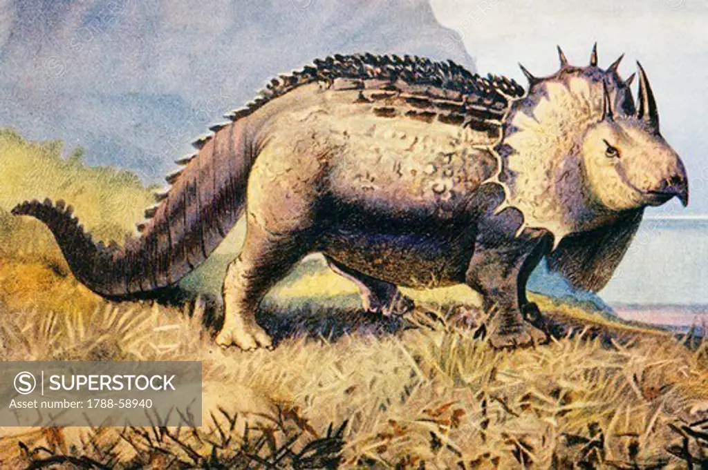 Triceratops, antediluvian animals, Prehistory.