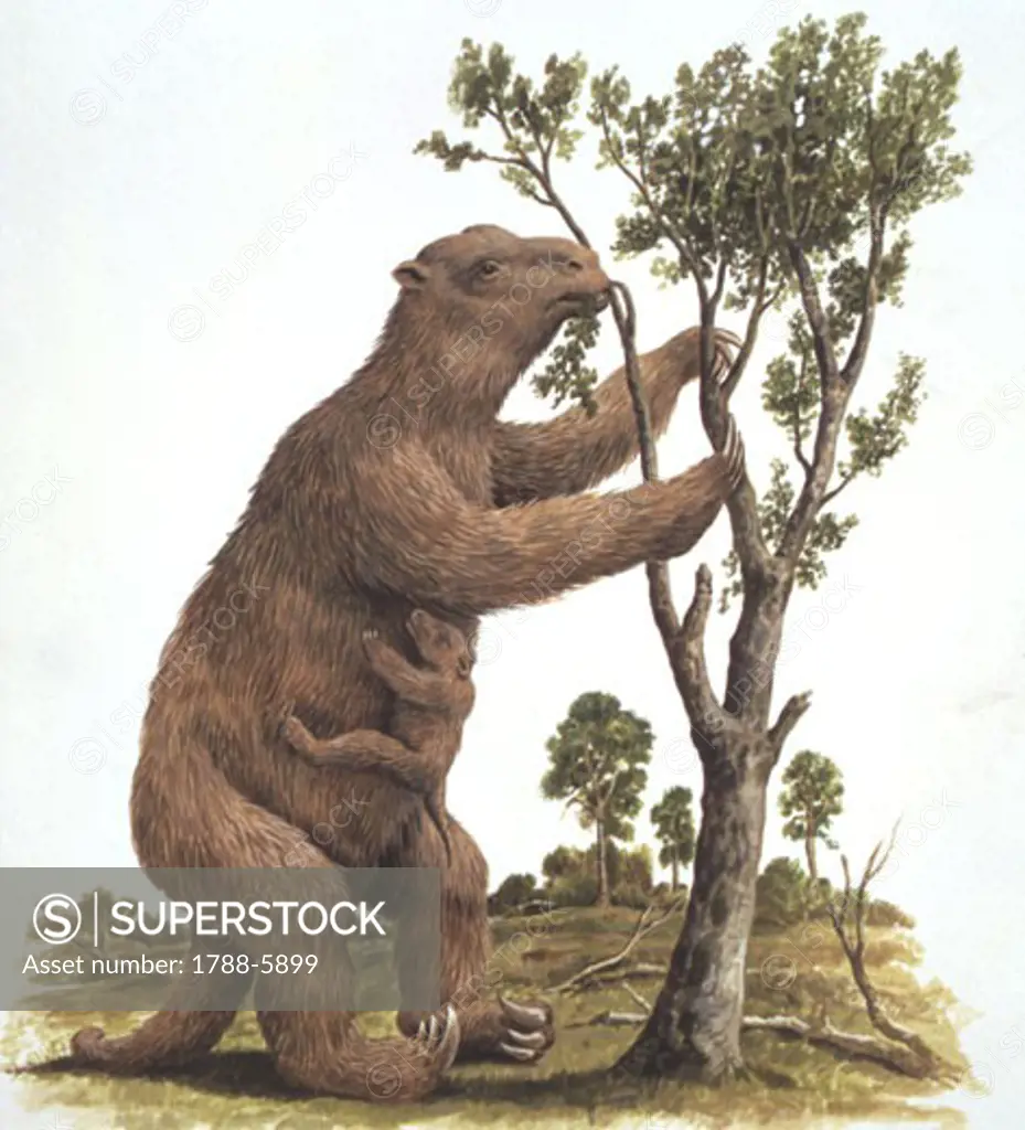 Illustration representing Megatherium