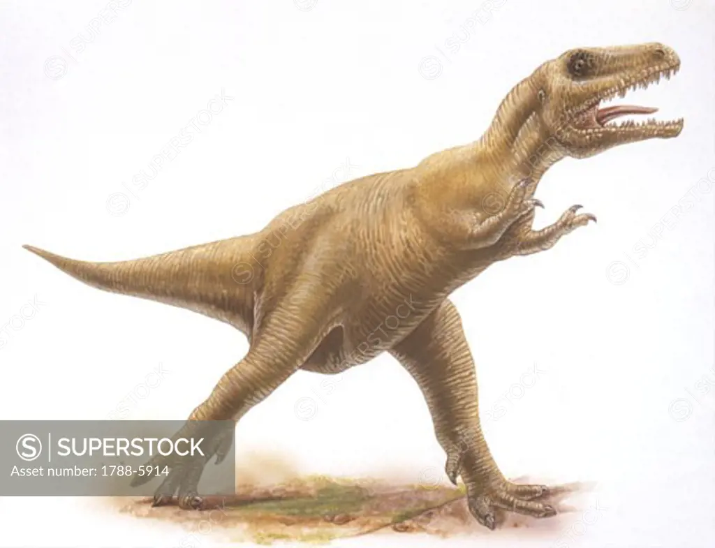 Illustration representing Albertosaurus