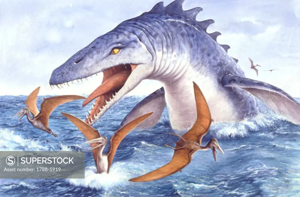 Illustration representing Tylosaurus in sea