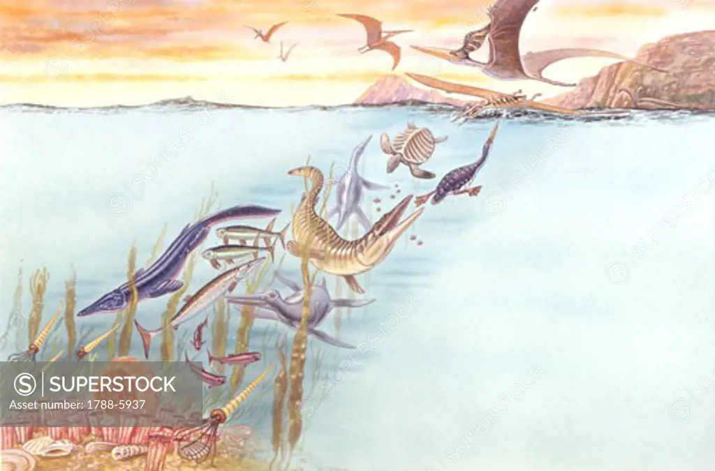 Illustration representing prehistoric aquatic animals