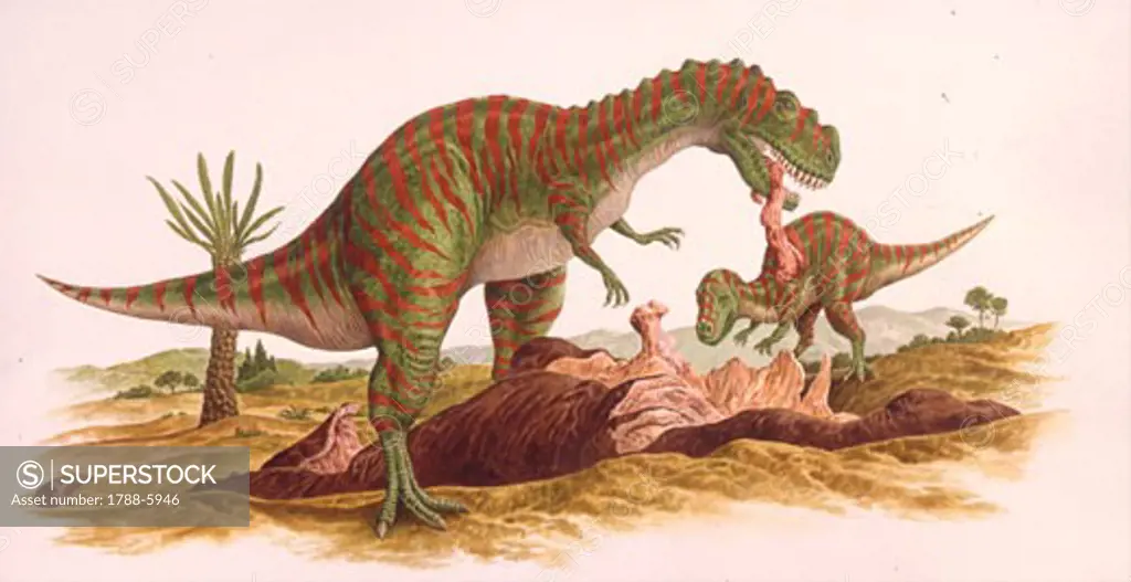 Illustration representing Metriacanthosaurus