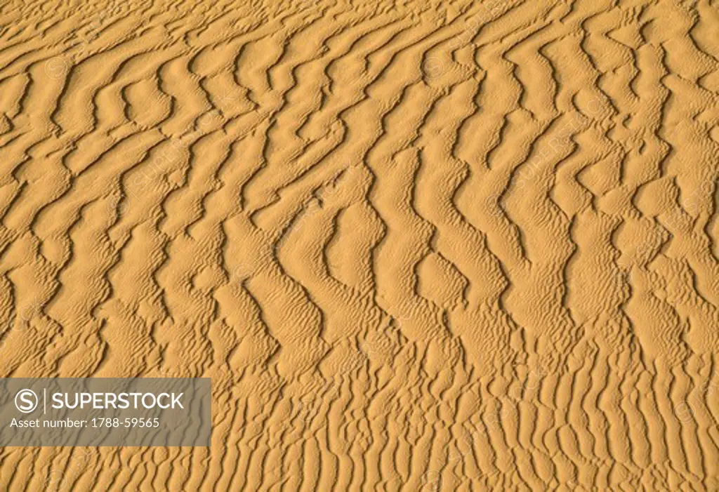 Effects of drought, White Desert, Libyan Desert, Egypt.