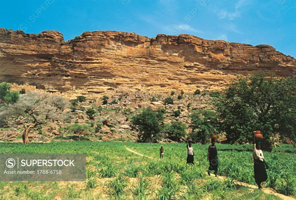 Mali - Bandiagara Escarpment - Dogon Village of Tireli