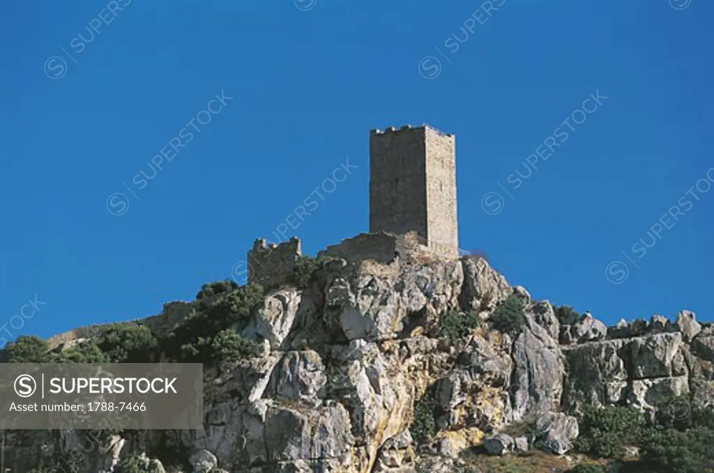 Low angle view of a castle, Castello Della Fava, Posada, Sardinia, Italy