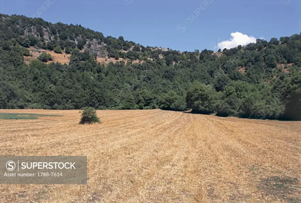 Karstic depression in a forest, Dolina Pozzatina, San Nicandro Garganico, Gargano National Park, Puglia, Italy
