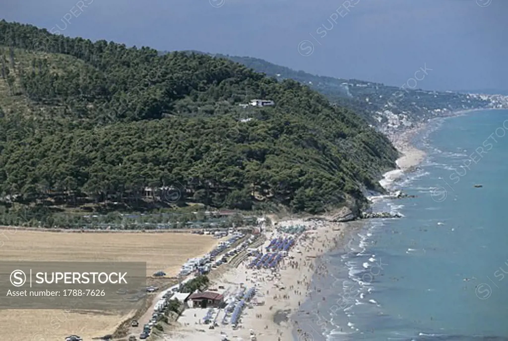 High angle view of a coastline, Marzini Pinewood, Rodi Garganico, Torre di Monte Pucci, Gargano National Park, Puglia, Italy