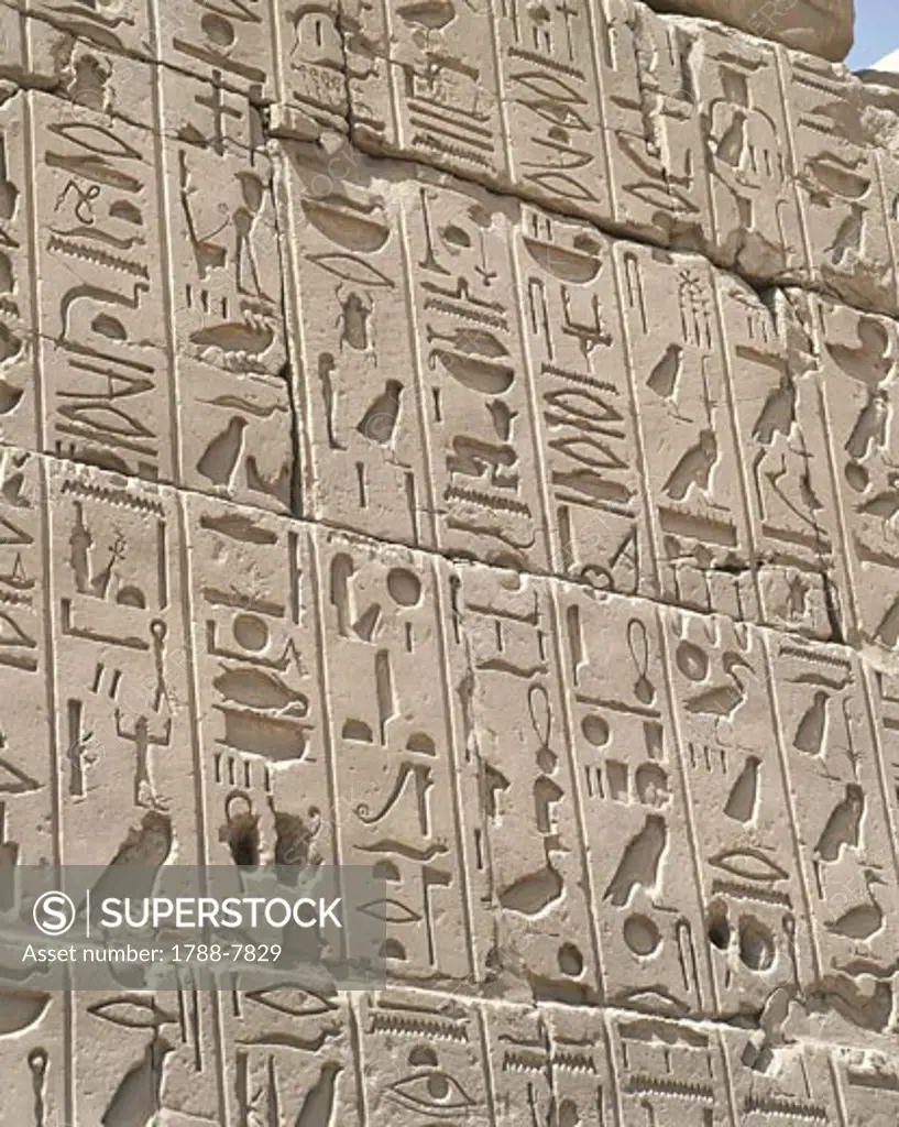 Carvings on a wall, Great Hypostyle Hall, Temples Of Karnak, Luxor, Egypt