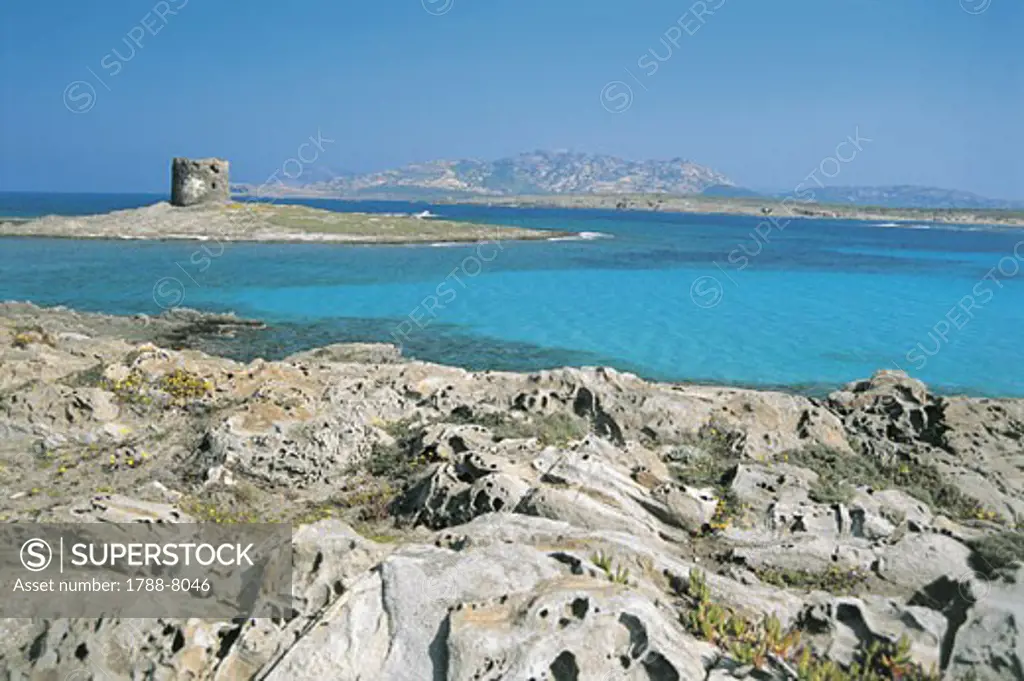 Panoramic view of a coastline, Capo Del Falcone, Asinara, Sardinia, Italy