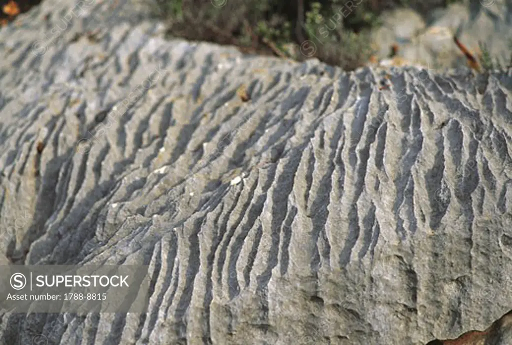 Close-up of a karst formation, Gennargentu National Park, Gulf of Orosei, Sardinia, Italy