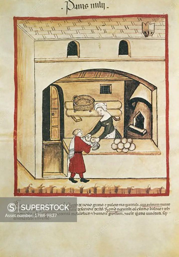 Italy, Millet bread, miniature by Giovannino de Grassi (1350-1398) from Tacuinum Sanitatis