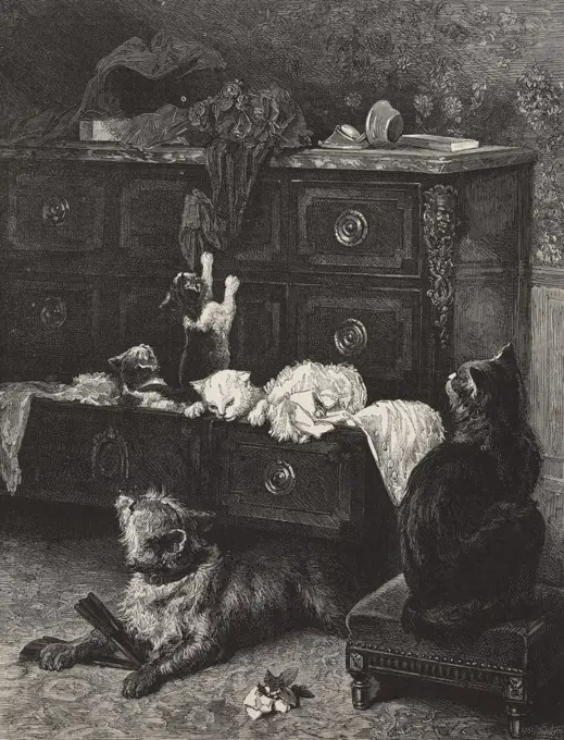 Temporary accommodation, cats in a chest of drawers, from a painting by E Lambert, illustration from L'Illustration, Journal Universel, No 1669, Volume LXV, February 20, 1875.