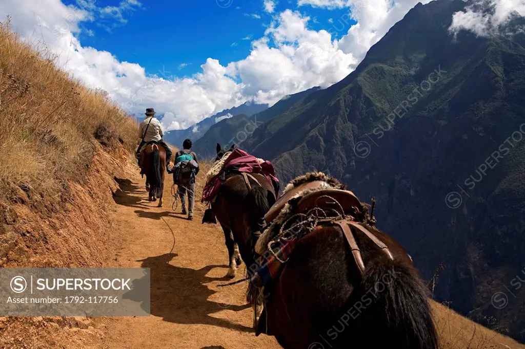 Peru, Cuzco Departement, travelling to the Inca site of Choquequirao through the valley of the Apurimac River through the Vilcabamba cordillera